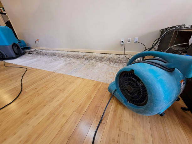 Professional Sewage Cleanup technician working in Lawndale, CA